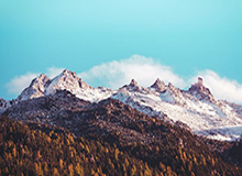 世俱杯买球-伟德Bevictor登录入口：开启全方位博彩体验的新纪元